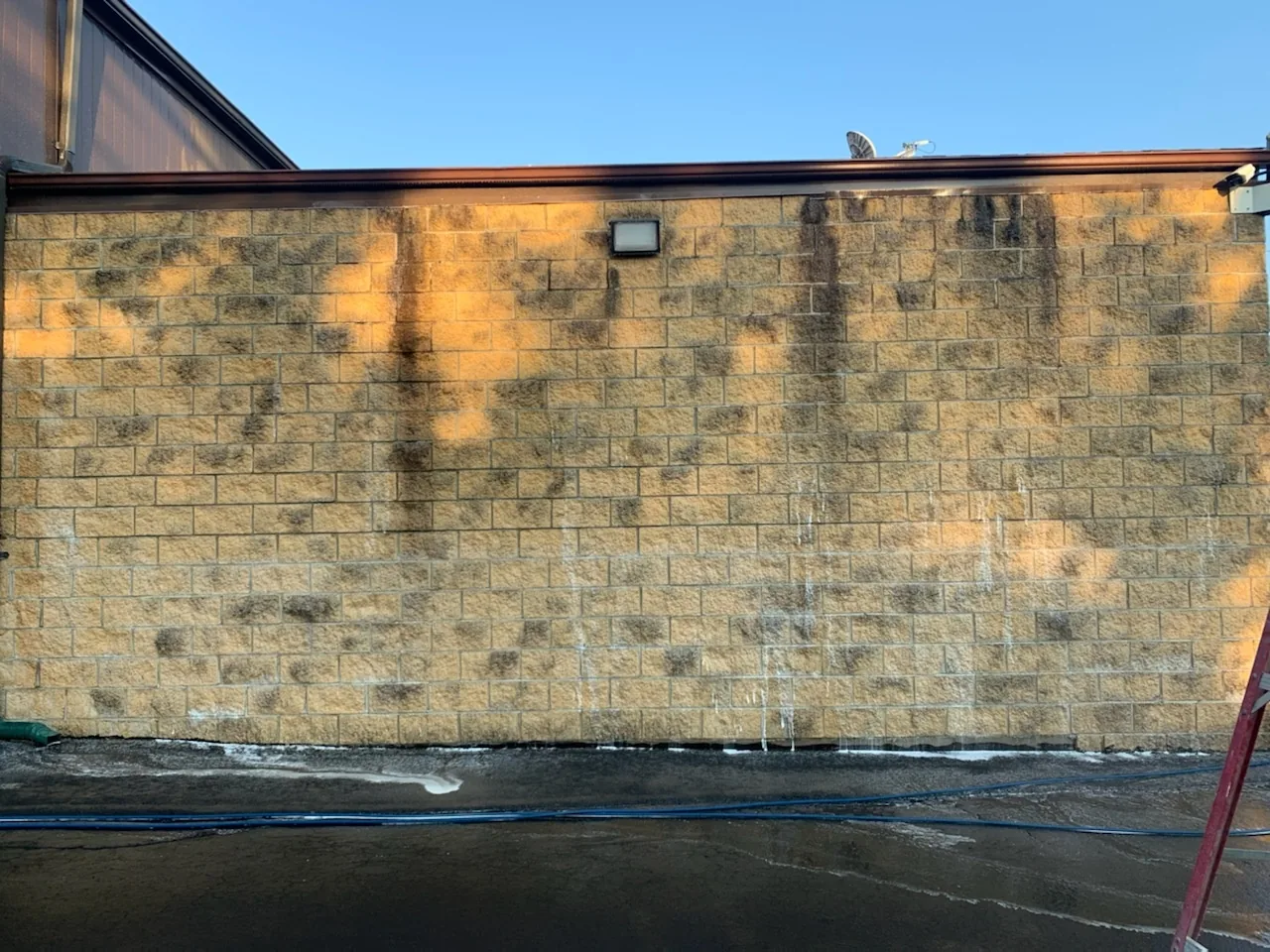 Exterior block wall before cleaning